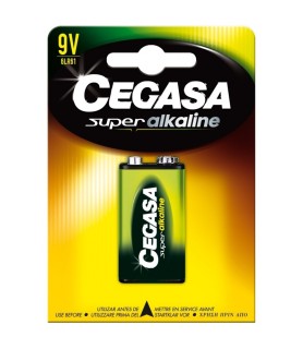 copy of PILAS CEGASA SUPER...