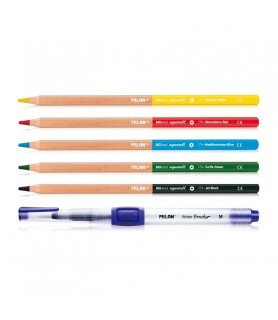 PINCEL RECARGABLE + 5 PINTURAS